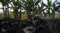 Aweng (67) menyelesaikan pembuatan arang kayu di Desa Kertawaluya, Kabupaten Karawang, Jawa Barat, Selasa (18/5/2021).  