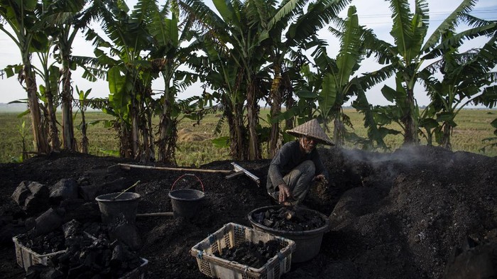 PEMBUATAN ARANG KAYU Aweng (67) menyelesaikan pembuatan arang kayu di Desa Kertawaluya, Kabupaten Karawang, Jawa Barat, Selasa (18/5/2021). Arang tersebut dijual Rp2.300 per Kg yang hasilnya untuk memenuhi kebutuhan sehari-hari. ANTARA FOTO/Sigid Kurniawan/foc.