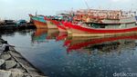 Penampakaan Jutaan Ubur-ubur yang Serbu Pantai Mayangan Probolinggo
