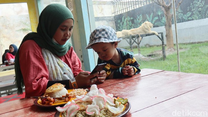 Sensasi Makan dengan Pemandangan Singa dan Harimau