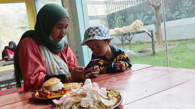 Sensasi Makan dengan Pemandangan Singa dan Harimau Sensasi Makan dengan Pemandangan Singa dan Harimau