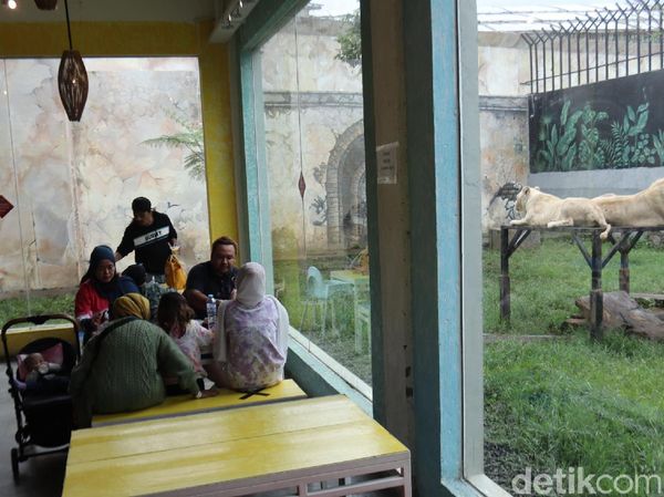 Serunya Sensasi Makan Ditemani Harimau dan Singa