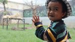 Serunya Sensasi Makan Ditemani Harimau dan Singa