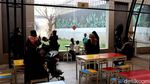 Serunya Sensasi Makan Ditemani Harimau dan Singa
