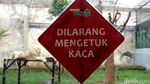 Serunya Sensasi Makan Ditemani Harimau dan Singa
