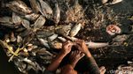 Cara Nelayan Kecil Pamulang Bergantung Hidup di Danau