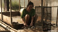 Berdasarkan UU Nomor 7 Tahun 2016, nelayan kecil adalah nelayan yang melakukan penangkapan Ikan untuk memenuhi kebutuhan hidup sehari-hari, baik yang tidak menggunakan kapal penangkap ikan maupun yang menggunakan kapal penangkap ikan berukuran paling besar 10 gross tonnage (GT).  