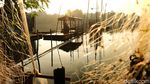Cara Nelayan Kecil Pamulang Bergantung Hidup di Danau