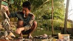 Cara Nelayan Kecil Pamulang Bergantung Hidup di Danau