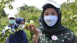 Keseruan Desy Ratnasari Saat Cicipi Jajanan hingga Makan Bersama Keluarga