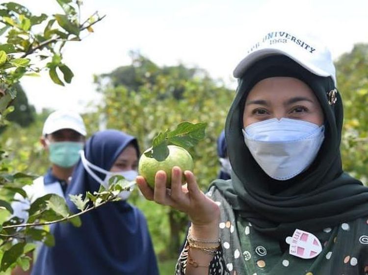 Keseruan Desy Ratnasari Saat Cicipi Jajanan hingga Makan Bersama Keluarga