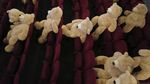 Gemes Banget! Nonton Bioskop di Paris Bareng Teddy Bear
