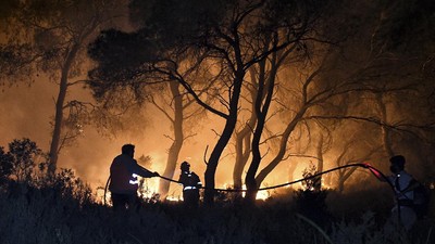Kebakaran Hutan Yunani Merambat ke Rumah Warga