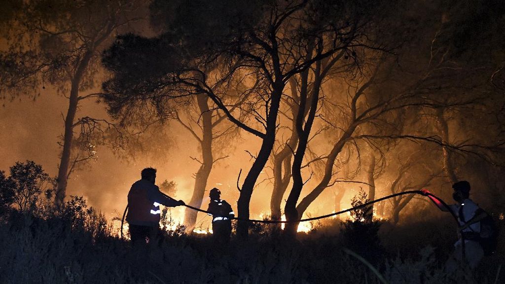 Kebakaran Hutan di Siprus Terburuk dalam Sejarah