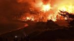 Kebakaran Hutan Yunani Merambat ke Rumah Warga