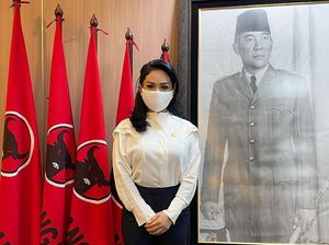 Krisdayanti Nyanyi soal Gaji-Dana Aspirasi, Anggota DPR Lain Jelaskan Bedanya