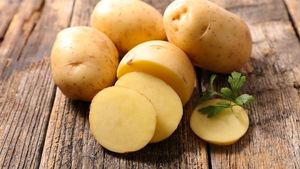Kamu Sudah Tahu? 15 Makanan Ini Tak Perlu Disimpan di Kulkas Lho!