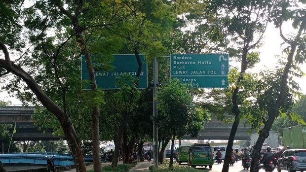 Penunjuk arah di Jl Daan Mogot, Jakarta Barat terhalang oleh pohon.