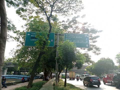 Petunjuk arah tol di Jalan Daan Mogot terhalang pohon dan berada di atas trotoar. Petunjuk arah tol di Jalan Daan Mogot terhalang pohon dan berada di atas trotoar.