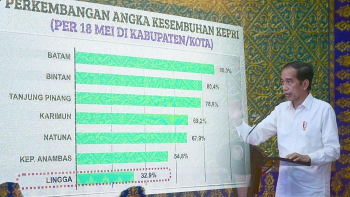 Presiden Jokowi di Kepri