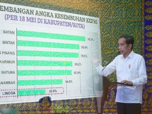 Beri Arahan di Kepri, Jokowi Beri Target 2 Minggu untuk Turunkan COVID-19