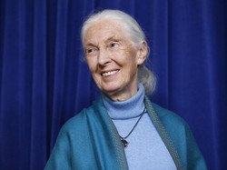 Video Pesan Terakhir Jane Goodall Singgung Gelapnya Dunia Saat Ini
