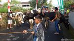 Foto: Tradisi Lebaran Sapi di Boyolali