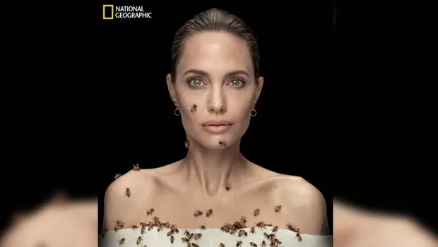 Angelina Jolie Foto Bareng Lebah