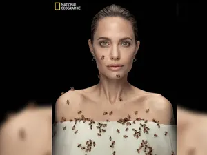 Majalah National Geographic PHK Massal