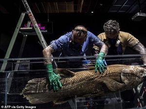 7 Spesies Hewan Ini Berhasil Selamat dari Era Kepunahan Dinosaurus, Apa Saja Ya?