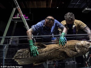 7 Spesies Hewan Ini Berhasil Selamat dari Era Kepunahan Dinosaurus, Apa Saja Ya?