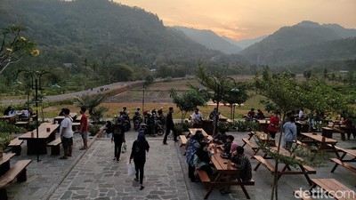 Foto: Kopi Ingkar Janji yang Lagi Ngehits di Kulon Progo