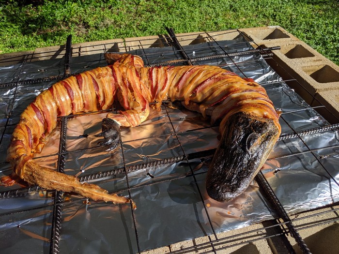 Menu Ekstrem di Amerika, Ada Acar Kaki Babi hingga Buntut Buaya Goreng