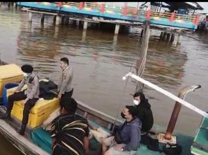 Penyelundupan Benur Senilai Rp 20 Miliar di Jambi Digagalkan