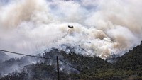 Dilansir dari Reuters, hingga kini petugas pemadam kebakaran dan 20 bantuan udara telah dikerahkan untuk memadamkan kebakaran hutan yang cukup dahsyat ini.    