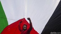 Ada juga sesorang yang mengenakan topeng dan membawa bendera Palestina raksasa.