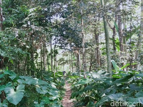 Supono atau Entit (50) tinggal belasan tahun dalam gubug di tengah ladang, Klaten, Jumat (21/5/2021).