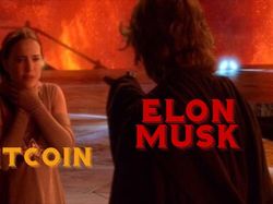 10 Meme Gambarkan Kerasnya Dunia Crypto