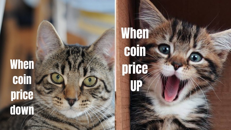 Pasar crypto belakangan ini dilanda penurunan meski kini naik sangat perlahan. Meme ini gambarkan kerasnya dunia crypto.