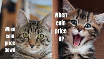 Just enjoy the ride. Foto: Twitter @BewajiR