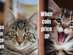 10 Meme Gambarkan Kerasnya Dunia Crypto