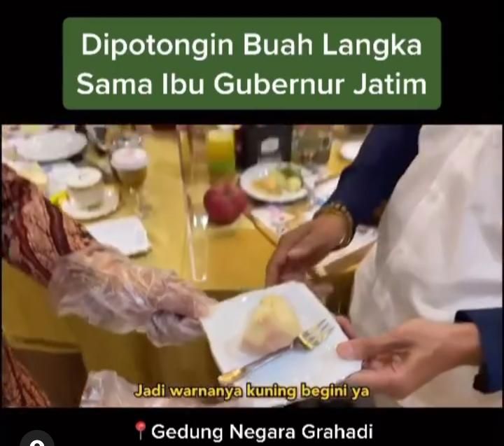 Khofifah Parawansa Beri Hadiah Buah Mentega pada Sandiaga Uno, Ini Fakta Menarik Buah Mentega