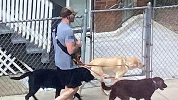 Warna celananya sama persis dengan si anjing. Foto: via Brightside/Reddit diyfou