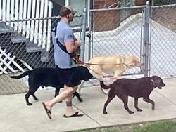 Foto yang Ditangkap Pada Momen yang Tepat, Hasilnya Mind Blowing!