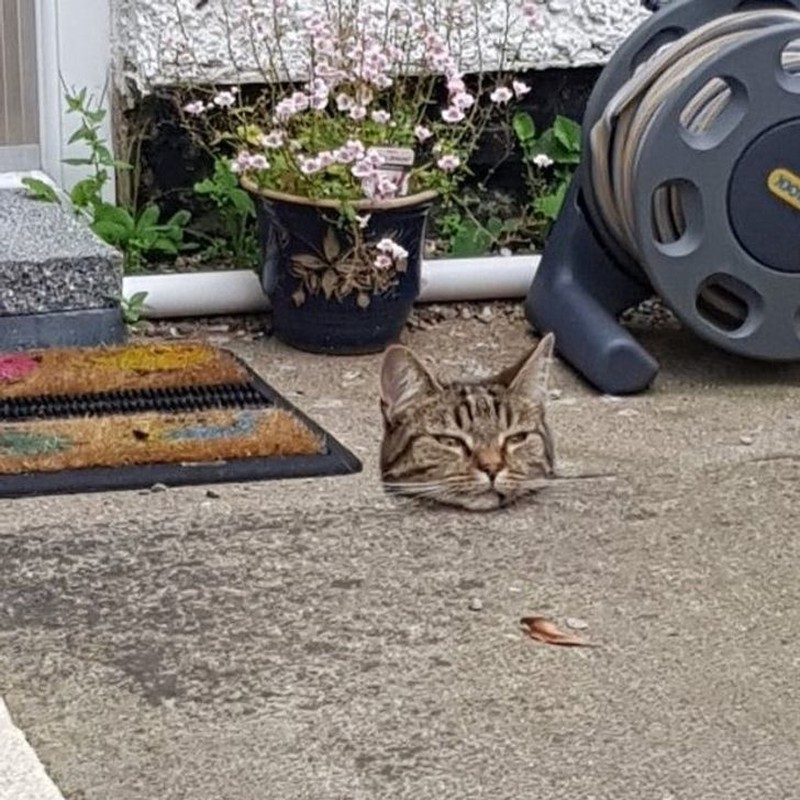 Foto di momen yang tepat.