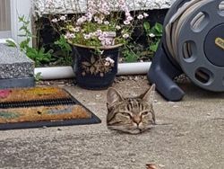 Foto yang Ditangkap Pada Momen yang Tepat, Hasilnya Mind Blowing!