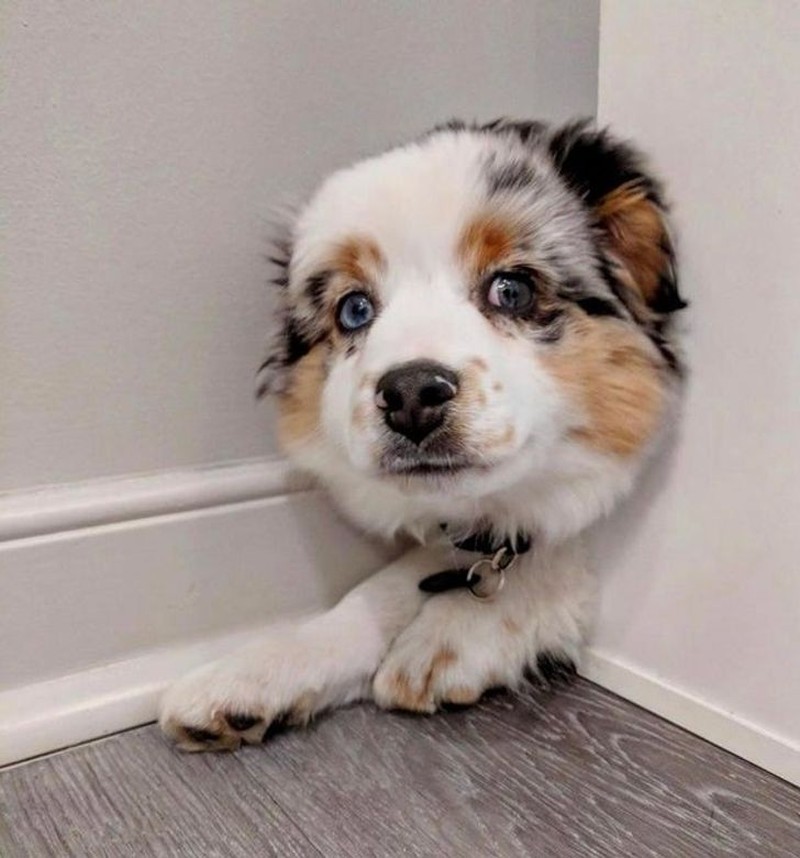 Foto di momen yang tepat.