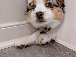 Foto yang Ditangkap Pada Momen yang Tepat, Hasilnya Mind Blowing!