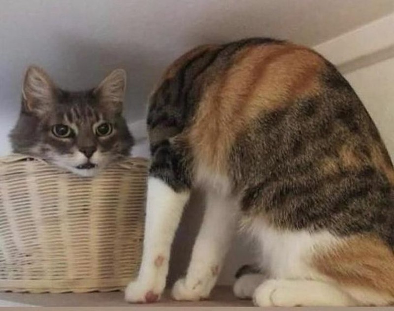 Foto di momen yang tepat.