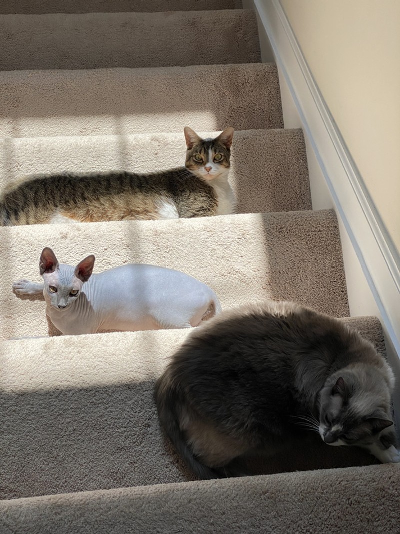 Foto di momen yang tepat.